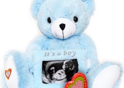 Gender Reveal Bear Blue